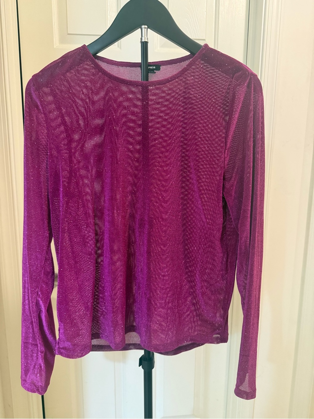 Express Sheer Long Sleeve Top in Magenta